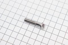Болт M6x30mm (під ключ)